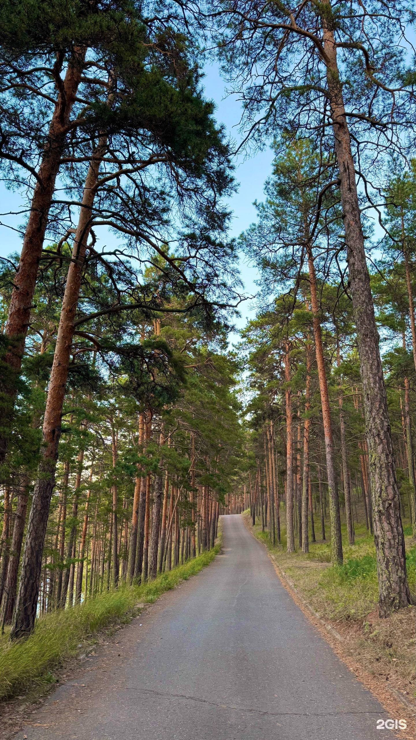 Алем+