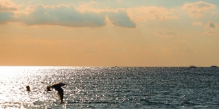 Анапа: Отель Volna Sea Village