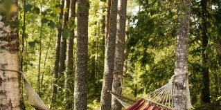 Станки: Апартаменты Валдай.Пространство мечты