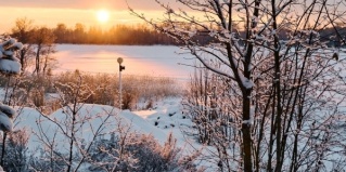 Выборг: Глэмпинг Vyborg Bay