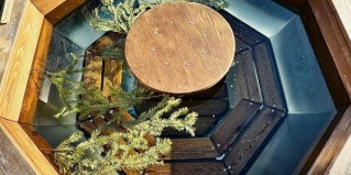 Тольятти: Коттедж Ёлки-Иголки