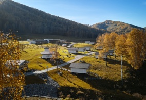 Отель Маральник Altai Palace в Алтайском крае