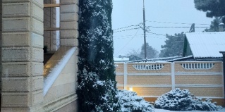 Геленджик: Коттедж Кипарис