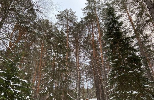 пос. Усть-Мана: Турбаза Дух тайги