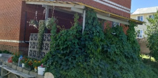 Казань: Отель Сабинская