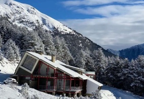 Отель 1950 в Владикавказе