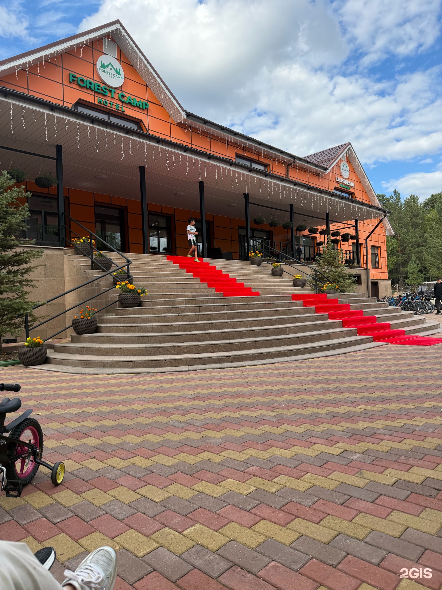 Forest Camp Hotel