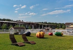 Отель Horseka resort в Московской области