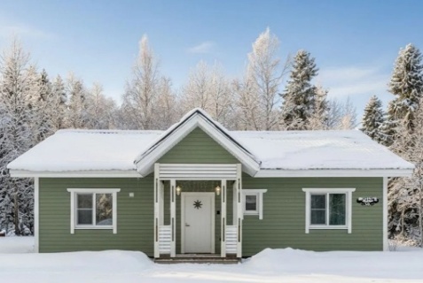 Вуорио: Коттедж Vuorio Forest