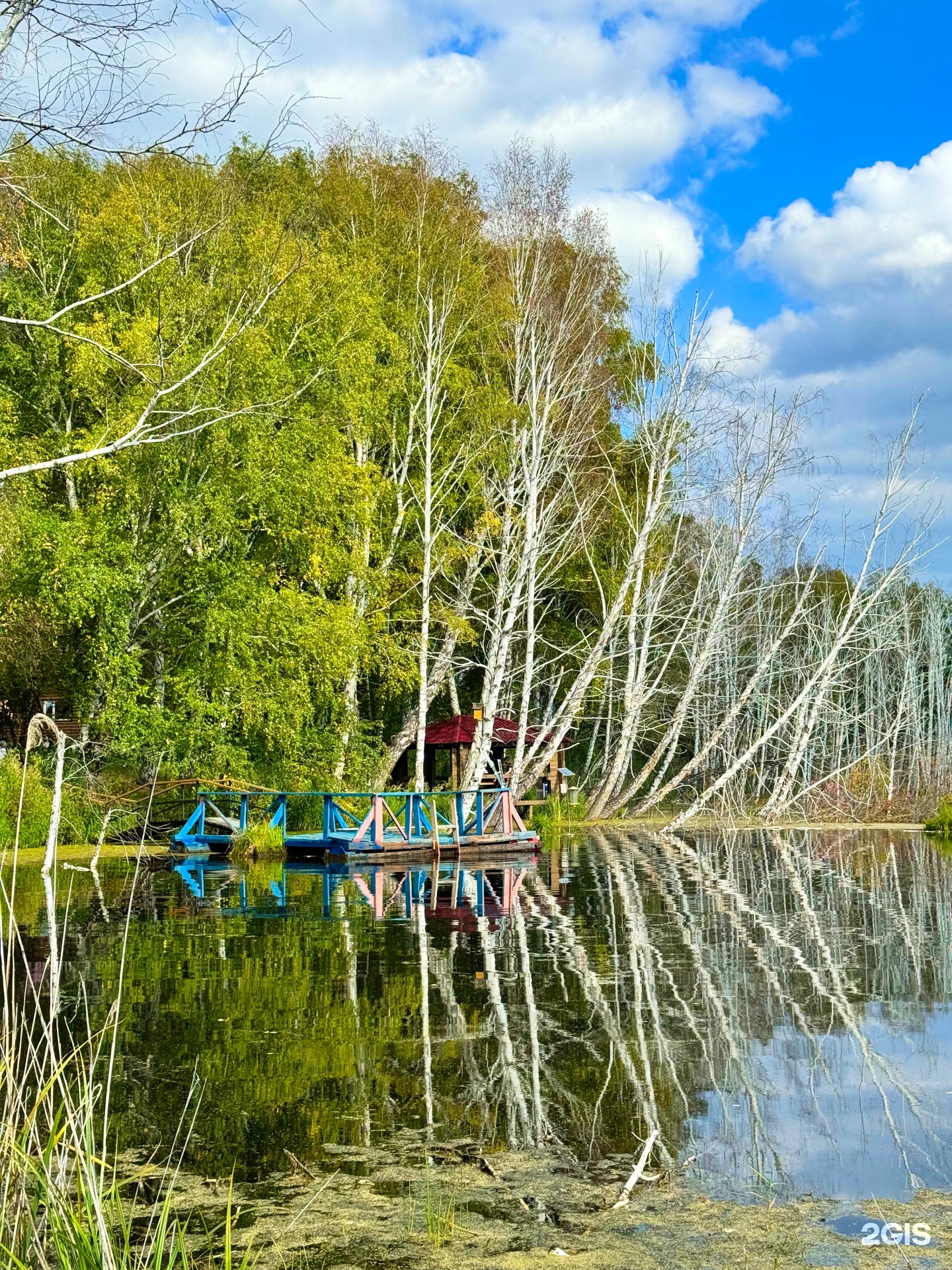 Боровлянка