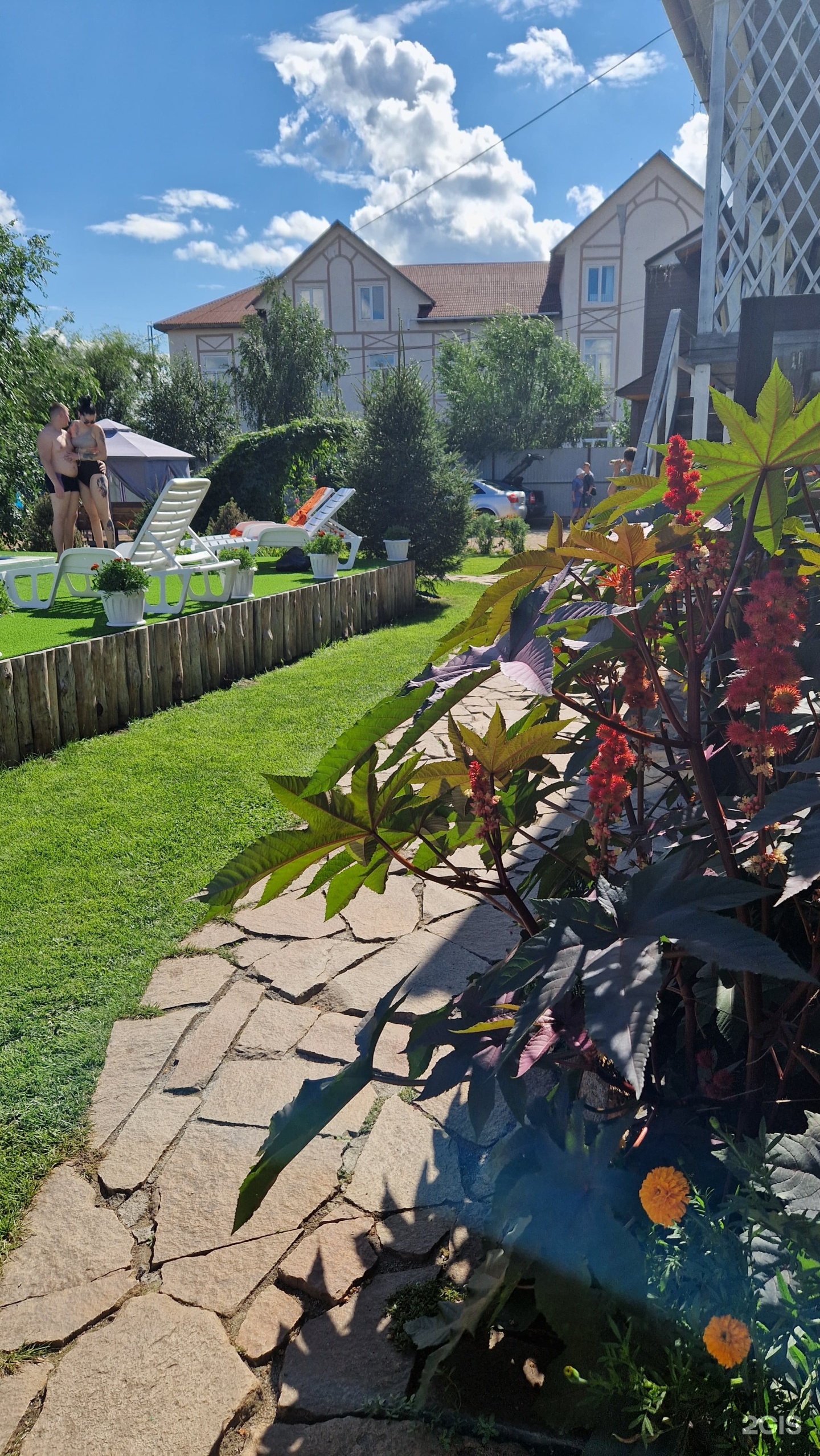 У Прохоровых