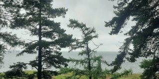 Листвянка: Гостевой дом Небо Байкала