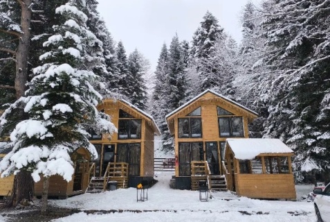 Зеленчукский район: Коттедж Greenhouse 1599